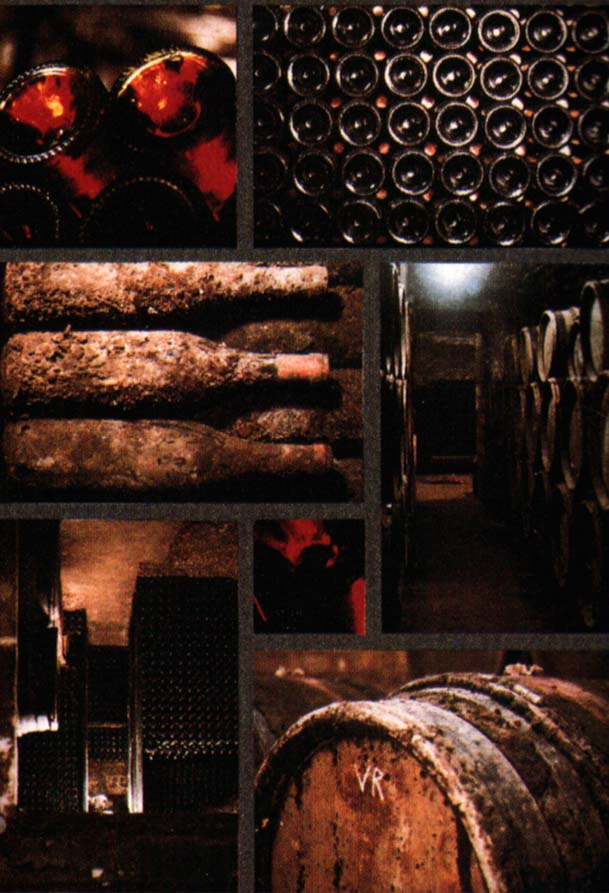 Nouveau : Les vins du Sud Ouest